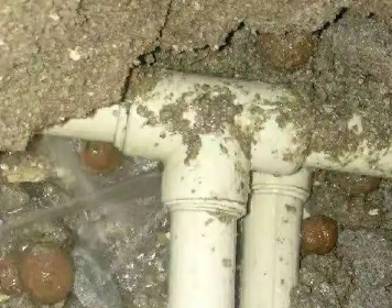 平顶山新华测漏水多少钱