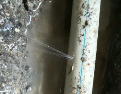 平顶山新华测漏水哪家好