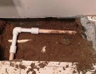 平顶山新华测漏水哪家好