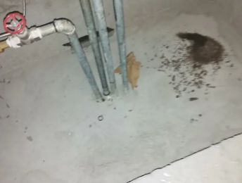 平顶山新华卫生间测漏水价格明细