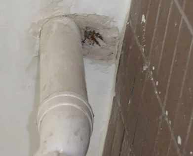 平顶山新华漏水检测哪家好